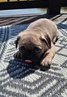 processed/71b14253-9ee1-4589-b751-29b07f515036/listing/017c0b08-decc-4c7a-8fb1-218c004ee92f/f651a71b-7392-4cdf-888c-950cb8296050