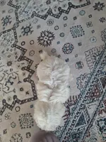 processed/71b14253-9ee1-4589-b751-29b07f515036/listing/3401cdb5-f3a6-42d9-b142-522ba36a5442/35a0b3d8-5147-4b82-b140-09f37b98c35a