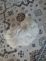 processed/71b14253-9ee1-4589-b751-29b07f515036/listing/3401cdb5-f3a6-42d9-b142-522ba36a5442/980705b1-887f-4b4a-8277-db36e5b7386f