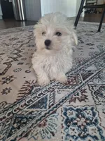 processed/71b14253-9ee1-4589-b751-29b07f515036/listing/3401cdb5-f3a6-42d9-b142-522ba36a5442/9b8013bc-034e-4e20-87d3-ec19549e4f59