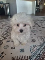 processed/71b14253-9ee1-4589-b751-29b07f515036/listing/3401cdb5-f3a6-42d9-b142-522ba36a5442/a86fb1fb-b407-4e7e-841c-2a3008e68a49