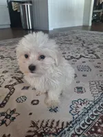 processed/71b14253-9ee1-4589-b751-29b07f515036/listing/3401cdb5-f3a6-42d9-b142-522ba36a5442/ad8e4cb0-c18c-4544-8f38-e76de316d74a