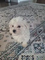 processed/71b14253-9ee1-4589-b751-29b07f515036/listing/3401cdb5-f3a6-42d9-b142-522ba36a5442/ada47854-e72d-493a-b6ec-86344af76e97