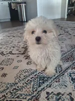 processed/71b14253-9ee1-4589-b751-29b07f515036/listing/3401cdb5-f3a6-42d9-b142-522ba36a5442/c2b5de62-132b-4193-a4b2-1ffb7286bafb