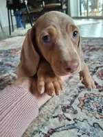 processed/71b14253-9ee1-4589-b751-29b07f515036/listing/55caa7f7-75df-4863-914f-ce239736c9e8/1b9850bb-512a-45d8-a30a-1c003d657d04