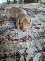 processed/71b14253-9ee1-4589-b751-29b07f515036/listing/55caa7f7-75df-4863-914f-ce239736c9e8/46d04011-faba-4b3a-af02-ef5079d45914