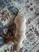 processed/71b14253-9ee1-4589-b751-29b07f515036/listing/55caa7f7-75df-4863-914f-ce239736c9e8/ffb415e3-ae8f-4bb3-ad3c-2c530546e7af