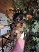 processed/71b14253-9ee1-4589-b751-29b07f515036/listing/a0576d65-78e6-4389-8462-c529275a7a91/2056cb33-8042-4d34-b501-55a4f1fad1dc