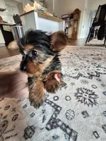 processed/71b14253-9ee1-4589-b751-29b07f515036/listing/a0576d65-78e6-4389-8462-c529275a7a91/367b0fb0-c240-4a32-abb9-84df5f69a92b