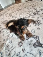 processed/71b14253-9ee1-4589-b751-29b07f515036/listing/a0576d65-78e6-4389-8462-c529275a7a91/5d5affaf-d746-4246-a59f-18db1b0f5a93