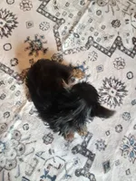 processed/71b14253-9ee1-4589-b751-29b07f515036/listing/a0576d65-78e6-4389-8462-c529275a7a91/8b416c2a-5792-48a8-87d1-67534c9ec4cf