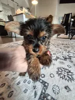 processed/71b14253-9ee1-4589-b751-29b07f515036/listing/a0576d65-78e6-4389-8462-c529275a7a91/c73f05c5-f4b6-4d74-9724-0d38917b1bbb