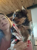 processed/71b14253-9ee1-4589-b751-29b07f515036/listing/a0576d65-78e6-4389-8462-c529275a7a91/fdd7189c-9ee6-40e5-b2aa-d3e939fa556b