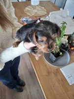 processed/71b14253-9ee1-4589-b751-29b07f515036/listing/ee7d4e92-76ac-442b-b49c-f57d7e4a68f1/117b365f-3689-4bd5-9855-0a979c196eb5