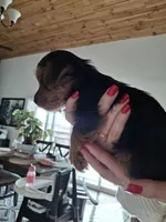 processed/71b14253-9ee1-4589-b751-29b07f515036/listing/ee7d4e92-76ac-442b-b49c-f57d7e4a68f1/12a51a52-a527-4391-a44d-906d20ddb24e