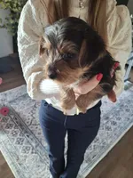 processed/71b14253-9ee1-4589-b751-29b07f515036/listing/ee7d4e92-76ac-442b-b49c-f57d7e4a68f1/1681ac36-9c90-409f-912f-b2056115c4f0