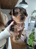 processed/71b14253-9ee1-4589-b751-29b07f515036/listing/ee7d4e92-76ac-442b-b49c-f57d7e4a68f1/96744653-4b65-4bf2-a71a-304599cb4e11