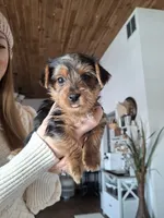 processed/71b14253-9ee1-4589-b751-29b07f515036/listing/ee7d4e92-76ac-442b-b49c-f57d7e4a68f1/aae634d4-74f1-40e5-a758-4804da809a3a