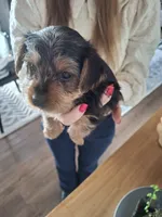 processed/71b14253-9ee1-4589-b751-29b07f515036/listing/ee7d4e92-76ac-442b-b49c-f57d7e4a68f1/c3c79da0-cb5f-4858-9982-e70fb1d4224e