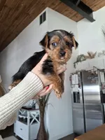 processed/71b14253-9ee1-4589-b751-29b07f515036/listing/ee7d4e92-76ac-442b-b49c-f57d7e4a68f1/f1ca3d7f-c3bf-485c-bb05-c2676356fe32