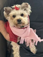 processed/71b3278e-ed15-455a-b71d-9ae6fc8b3014/listing/d952e829-5f2d-4ba4-ab02-1fee3344fcd4/1139a8bc-02c7-43e8-8abc-c82af5da39f5