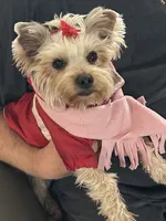 processed/71b3278e-ed15-455a-b71d-9ae6fc8b3014/listing/d952e829-5f2d-4ba4-ab02-1fee3344fcd4/21ba6f2d-1b18-42c1-a6db-fef698c8dfb3