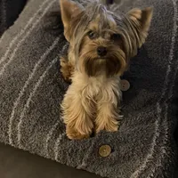 processed/71bf6692-55fc-4204-a6e8-9d4d15311324/facility/0263c0a8-0053-49de-aa4e-dca7508bd43f