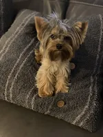 processed/71bf6692-55fc-4204-a6e8-9d4d15311324/facility/0263c0a8-0053-49de-aa4e-dca7508bd43f