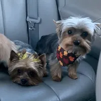 processed/71bf6692-55fc-4204-a6e8-9d4d15311324/facility/29228317-113a-45fd-a23d-0fa8207945db