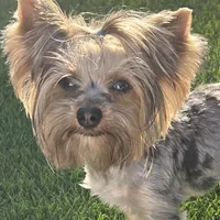 processed/71bf6692-55fc-4204-a6e8-9d4d15311324/facility/46e26159-9399-4db6-a29d-053dc7a49518