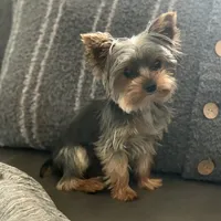 processed/71bf6692-55fc-4204-a6e8-9d4d15311324/facility/55de9029-a600-4b27-88c5-1b88e325e9cc