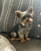 processed/71bf6692-55fc-4204-a6e8-9d4d15311324/facility/55de9029-a600-4b27-88c5-1b88e325e9cc