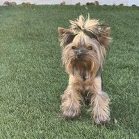 processed/71bf6692-55fc-4204-a6e8-9d4d15311324/facility/7814bf69-1bd3-4b03-8e6e-3763babed53a