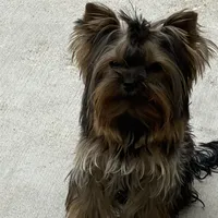 processed/71bf6692-55fc-4204-a6e8-9d4d15311324/facility/8c31d362-9fb5-43a4-aa12-3b0b15cfcd51