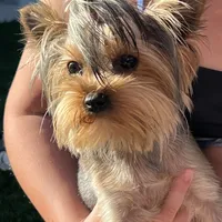 processed/71bf6692-55fc-4204-a6e8-9d4d15311324/facility/99c0373f-367e-4b41-9553-d37da57614a1