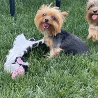 processed/71bf6692-55fc-4204-a6e8-9d4d15311324/facility/cc09ba0a-ddee-4437-ac9a-6829639e941c