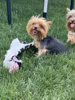 processed/71bf6692-55fc-4204-a6e8-9d4d15311324/facility/cc09ba0a-ddee-4437-ac9a-6829639e941c