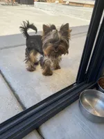 processed/71bf6692-55fc-4204-a6e8-9d4d15311324/facility/eb2dde20-b902-4189-8843-ad2282b1e7a9