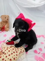 processed/71c66339-9473-4631-8875-eae99550a390/listing/150024a3-06c8-4d47-90bc-236ce36ffabb/9afbc25f-c2c5-42ab-ad0a-e52c36567d68