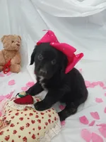 processed/71c66339-9473-4631-8875-eae99550a390/listing/150024a3-06c8-4d47-90bc-236ce36ffabb/abc7dc92-49c8-443b-a02d-f4dc6c45db7b