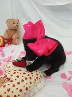 processed/71c66339-9473-4631-8875-eae99550a390/listing/150024a3-06c8-4d47-90bc-236ce36ffabb/ca493f08-e19f-4514-be09-d436eb762d93