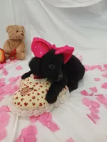 processed/71c66339-9473-4631-8875-eae99550a390/listing/150024a3-06c8-4d47-90bc-236ce36ffabb/d31d4468-8f4c-42d7-b5ff-8bab419e619c