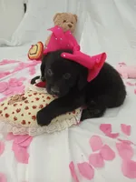 processed/71c66339-9473-4631-8875-eae99550a390/listing/150024a3-06c8-4d47-90bc-236ce36ffabb/e275fb90-e44c-4d1b-9201-b35823f8a2a1