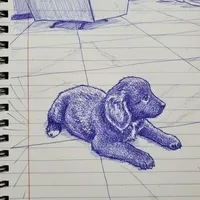 Nova, a female Golden Retriever for sale in Fort Pierce, FL – Photo 3 of 3