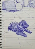 Nova, a female Golden Retriever for sale in Port Charlotte, FL – Photo 3 of 3