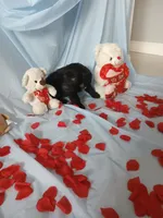 processed/71c66339-9473-4631-8875-eae99550a390/listing/aaa6d337-0350-461b-a47e-b804c91a93d1/2ba2cb80-93f7-4649-82ef-c3e27caa019d