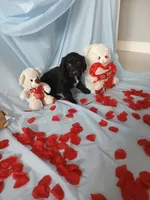 processed/71c66339-9473-4631-8875-eae99550a390/listing/aaa6d337-0350-461b-a47e-b804c91a93d1/399af95d-d197-4564-a156-101659bfc1df