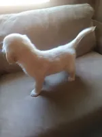 processed/71c66339-9473-4631-8875-eae99550a390/listing/e57b49b2-7347-41e8-82d8-1f5f3a7b7c98/af7b81c3-31ba-4e62-8e59-c9dbb999aa47