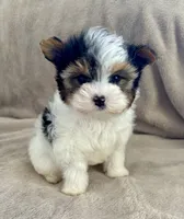 processed/71ccd5a5-e17a-4f7a-976c-16f24de66146/listing/119ebc6e-432d-4e38-90fe-6832af8e7393/75d2136d-3ac1-41a7-84cf-60c57abbef72