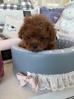 processed/71ccd5a5-e17a-4f7a-976c-16f24de66146/listing/d753cd05-b4f8-4a2f-a201-2b1ecf29e586/5b892130-ff85-424d-91b9-1b480415e56e